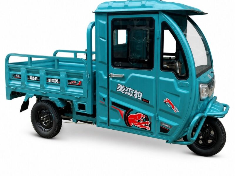 60V Closed Cargo Electric Tricycle 501-800W Three Wheel Utility Vehicle 90km Range DOT Certified