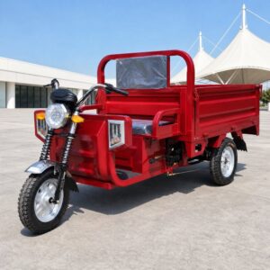 60V Electric Cargo Tricycle 501-800W Open Body Three Wheel Vehicle 90km Range 54km/h Speed DOT Certified