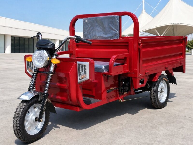 60V Electric Cargo Tricycle 501-800W Open Body Three Wheel Vehicle 90km Range 54km/h Speed DOT Certified