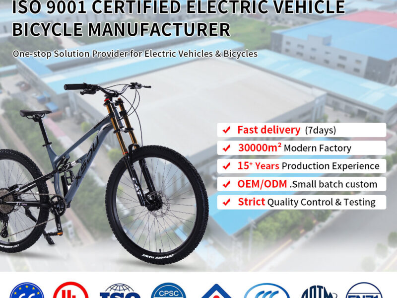 60V Electric Four Wheel Passenger Car Closed Body 4 Seat Transport Vehicle