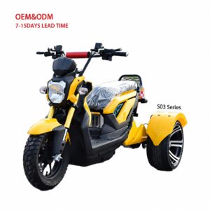 60V Electric Three Wheel Tricycle Over 1000W Open Body Single Passenger Mobility Scooter 50-70Km/h
