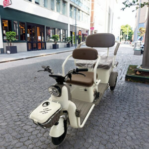 60V Electric Tricycle for Adults Seniors 3 Passengers Open Steel Frame 200kg Payload 50-70km Driving 50km/h Speed 3-5h Charging