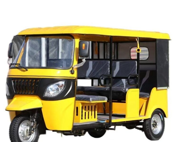 New Arrival 1000W Motor Tricycle Common for Passenger 3 Wheel Bike Keke Bajaj Africa Tuk Tuk Taxi