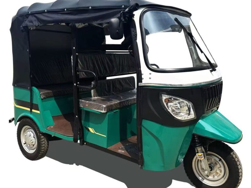 New Arrival 1000W Motor Tricycle Common for Passenger 3 Wheel Bike Keke Bajaj Africa Tuk Tuk Taxi