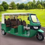 60V Open Electric Passenger Tricycle 501-800W Three Wheel Rickshaw 14 Inch Disc Brake Urban Transport - image 3
