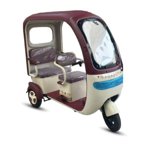 650W 3 Seats Family Electric Tricycle Open Body Large Capacity Outdoor 3 Wheel Mobility Tricycle Low Speed City Etrike