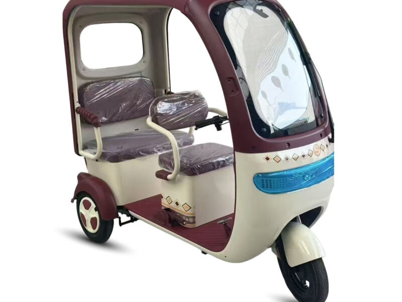 650W 3 Seats Family Electric Tricycle Open Body Large Capacity Outdoor 3 Wheel Mobility Tricycle Low Speed City Etrike