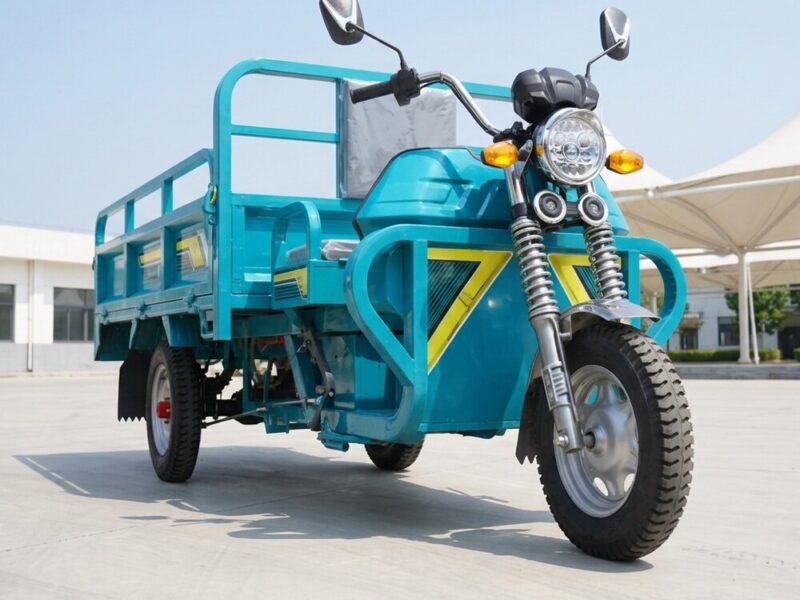 70 KM Moto Three Wheel Trike Motorized Electric Tricycle Adult in Stock