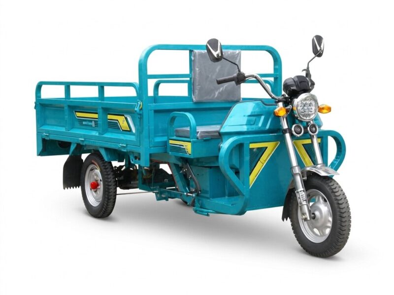 70 KM Moto Three Wheel Trike Motorized Electric Tricycle Adult in Stock