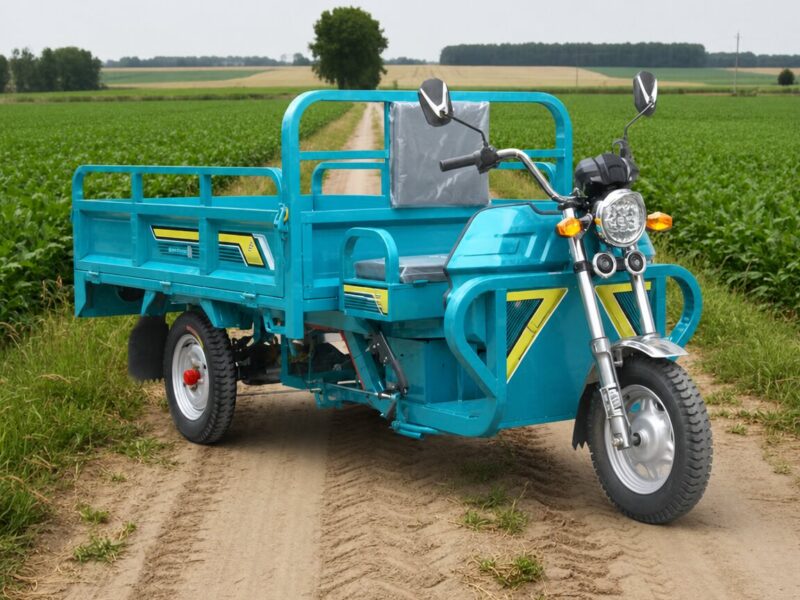 70 KM Moto Three Wheel Trike Motorized Electric Tricycle Adult in Stock