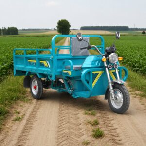 70 KM Moto Three Wheel Trike Motorized Electric Tricycle Adult in Stock