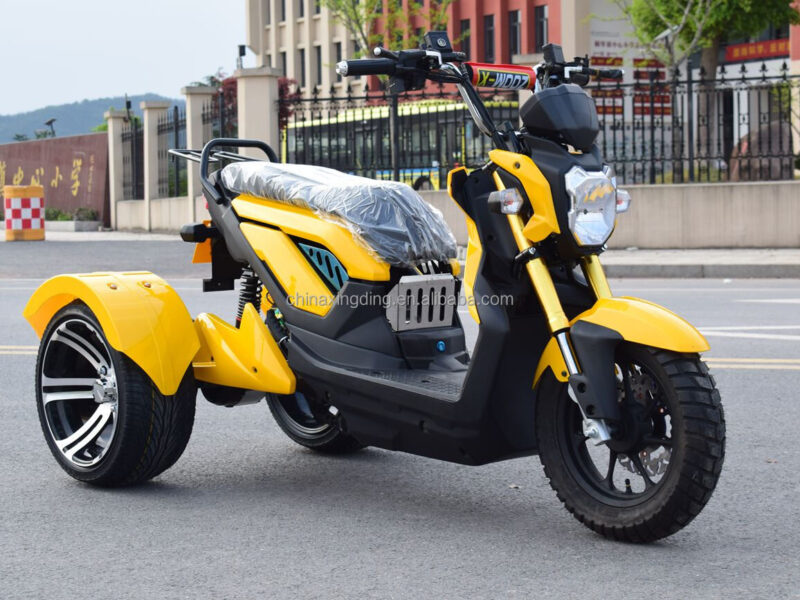 72V Electric 3-Wheel 2-Passenger Tricycle Scooter Open Body Design High-Speed 1500W Powerful Performance Disc Brakes CE