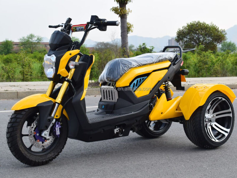 72V Electric 3-Wheel 2-Passenger Tricycle Scooter Open Body Design High-Speed 1500W Powerful Performance Disc Brakes CE