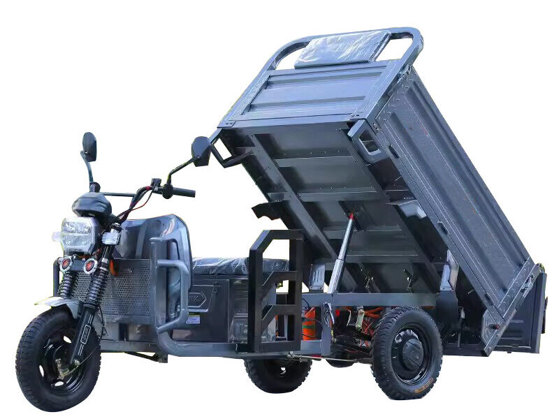 800w-1000w Hot Sale New Cargo Goods Transport Freight Adult Pull Goods Home Agricultural Open Type Electric Tricycle