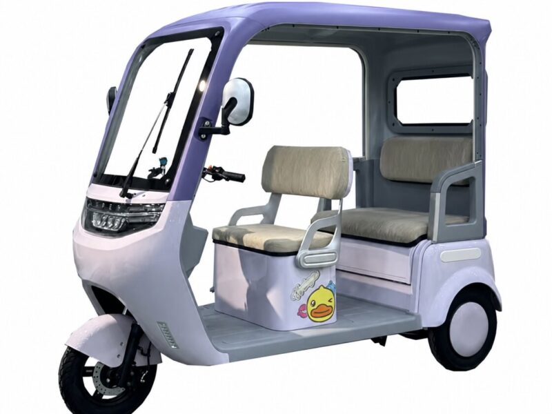 800W Motor Tricycle Open Body Electric Adult Motorcycle 60V Voltage Other Tricycles