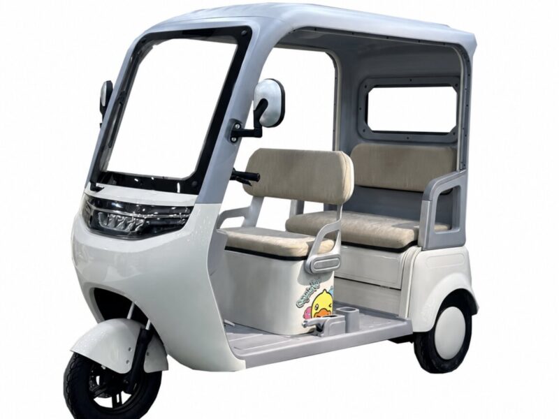 800W Motor Tricycle Open Body Electric Adult Motorcycle 60V Voltage Other Tricycles
