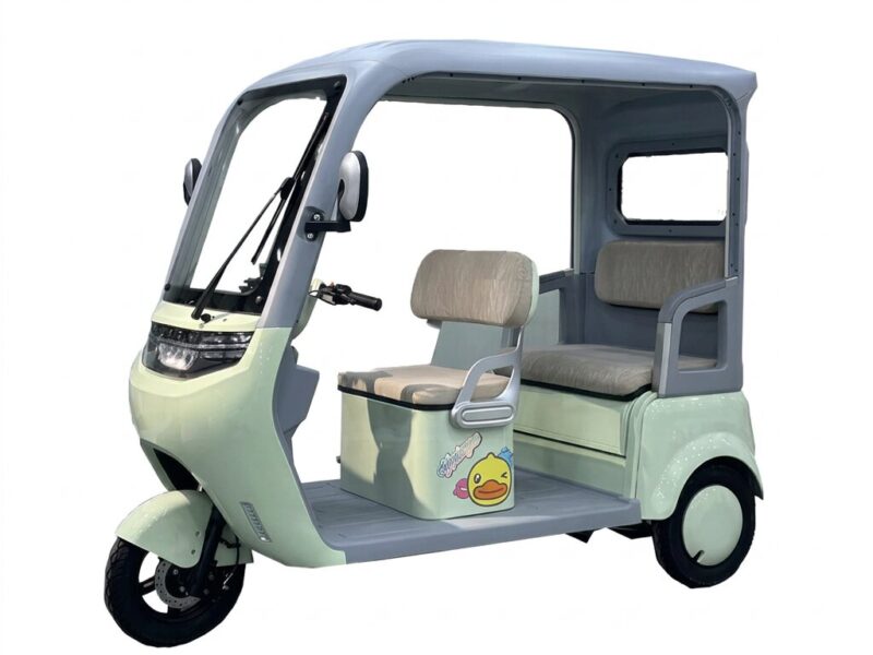 800W Motor Tricycle Open Body Electric Adult Motorcycle 60V Voltage Other Tricycles