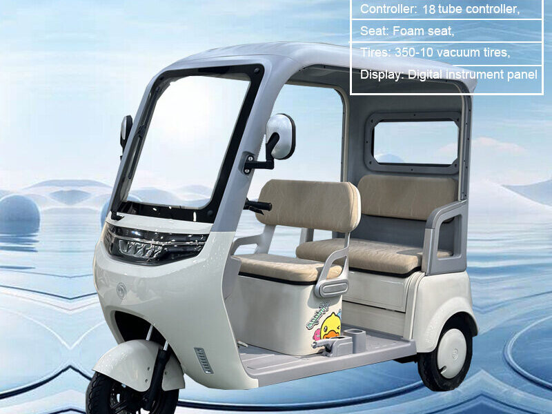 800W Motor Tricycle Open Body Electric Adult Motorcycle 60V Voltage Other Tricycles