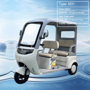 800W Motor Tricycle Open Body Electric Adult Motorcycle 60V Voltage Other Tricycles