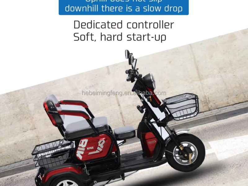 Adjustable Three-Seat Electric Tricycle 600W Rear Hub Motor Lead Acid Battery Steel Frame 3 Wheels