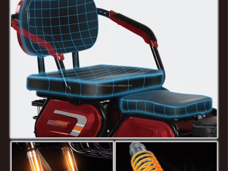 Adjustable Three-Seat Electric Tricycle 600W Rear Hub Motor Lead Acid Battery Steel Frame 3 Wheels