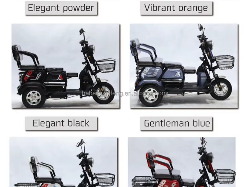 Adjustable Three-Seat Electric Tricycle 600W Rear Hub Motor Lead Acid Battery Steel Frame 3 Wheels