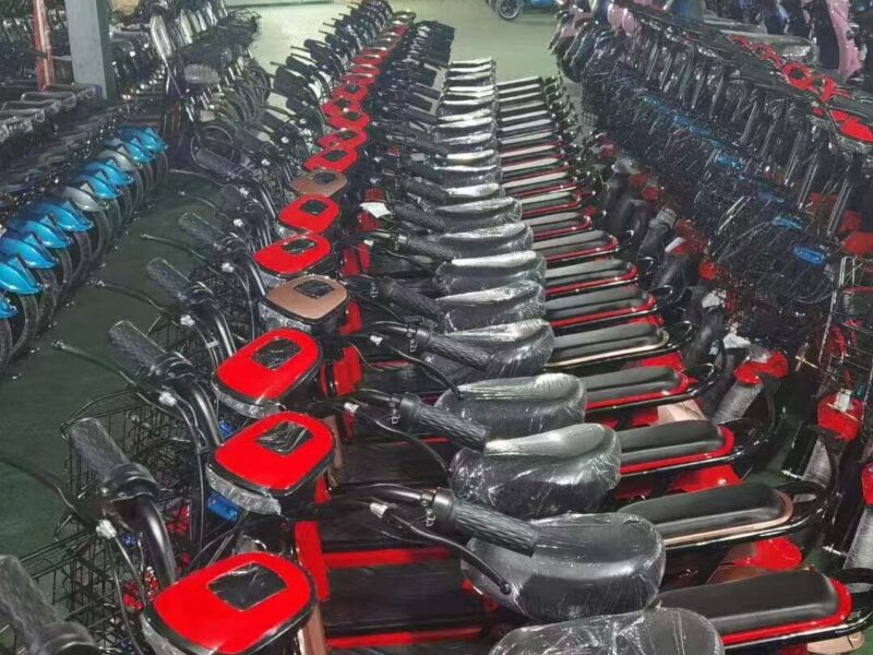 Adjustable Three-Seat Electric Tricycle 600W Rear Hub Motor Lead Acid Battery Steel Frame 3 Wheels