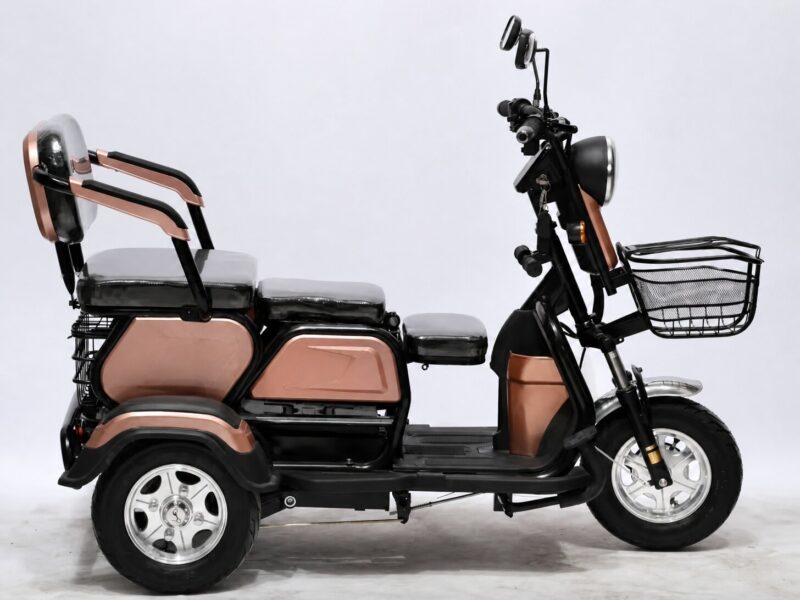 Adjustable Three-Seat Electric Tricycle 600W Rear Hub Motor Lead Acid Battery Steel Frame 3 Wheels