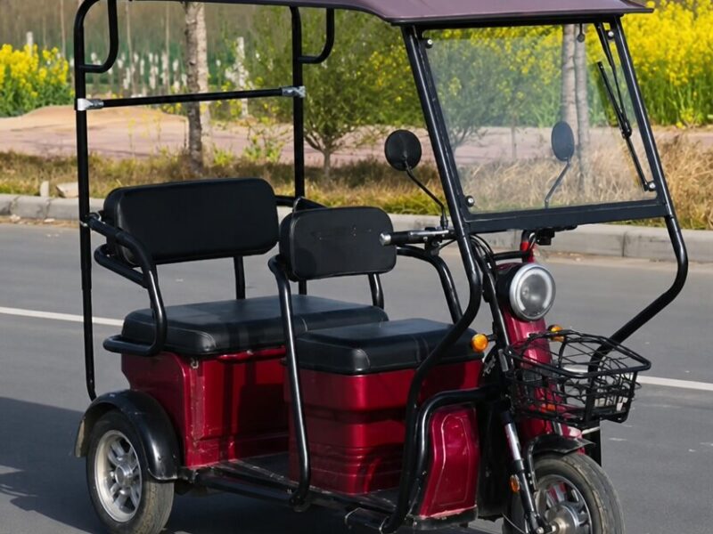 Adjustable Three-Seat Electric Tricycle 600W Rear Hub Motor Lead Acid Battery Steel Frame 3 Wheels