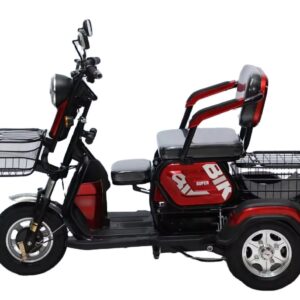 Adjustable Three-Seat Electric Tricycle 600W Rear Hub Motor Lead Acid Battery Steel Frame 3 Wheels