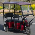 Adjustable Three-Seat Electric Tricycle 600W Rear Hub Motor Lead Acid Battery Steel Frame 3 Wheels - image 4