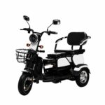 Adjustable Three-Seat Electric Tricycle 600W Rear Hub Motor Lead Acid Battery Steel Frame 3 Wheels - image 6