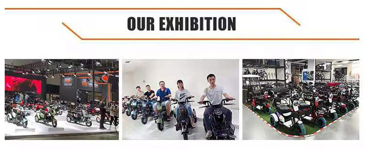 2024 Factory Sale 600W 650W 800W EV Tricycle 3 Wheel Electric Tricycle Trike for Sale