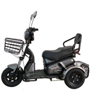 Adult 1000 Watt Electric Tricycle 3-Wheel Open Body Available in 48v and 60v Cheap Alternative to Traditional Bicycles