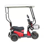 Adult 1000 Watt Electric Tricycle 3-Wheel Open Body Available in 48v and 60v Cheap Alternative to Traditional Bicycles - image 2