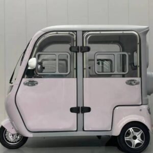 Adult Electric Tricycle Enclosed 4-Passenger Rainproof Design