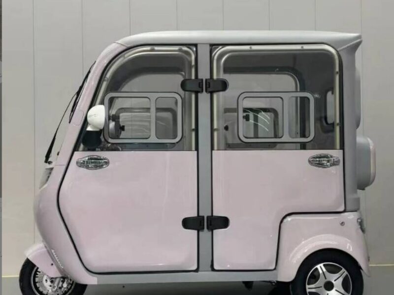 Adult Electric Tricycle Enclosed 4-Passenger Rainproof Design