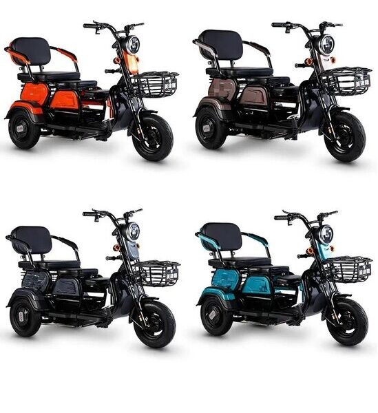 Adult Three-Wheel Electric Tricycle Open 48V 600W Passenger Tricycle Bike Electric Tricycle for Sale