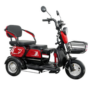 Adult Three-Wheel Electric Tricycle Open 48V 600W Passenger Tricycle Bike Electric Tricycle for Sale