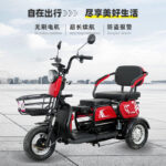 Adult Three-Wheel Electric Tricycle Open 48V 600W Passenger Tricycle Bike Electric Tricycle for Sale - image 2