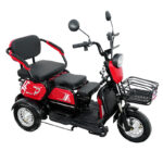 Adult Three-Wheel Electric Tricycle Open 48V 600W Passenger Tricycle Bike Electric Tricycle for Sale - image 3