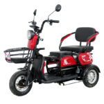 Adult Three-Wheel Electric Tricycle Open 48V 600W Passenger Tricycle Bike Electric Tricycle for Sale - image 5