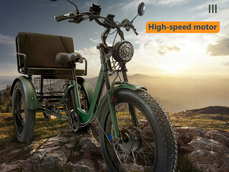 All Terrain Electric Tricycle Fat Tire 3 Wheel Bike for Adults Snow Beach Mountain Off Road Riding