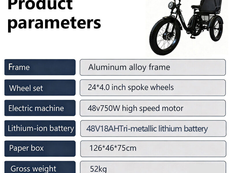 All Terrain Electric Tricycle Fat Tire 3 Wheel Bike for Adults Snow Beach Mountain Off Road Riding