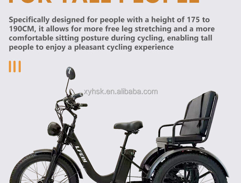 All Terrain Electric Tricycle Fat Tire 3 Wheel Bike for Adults Snow Beach Mountain Off Road Riding