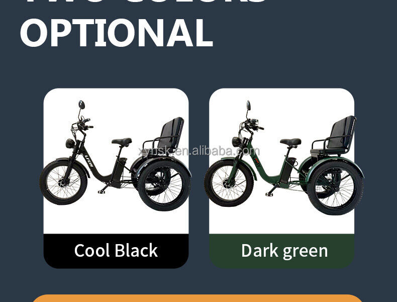 All Terrain Electric Tricycle Fat Tire 3 Wheel Bike for Adults Snow Beach Mountain Off Road Riding