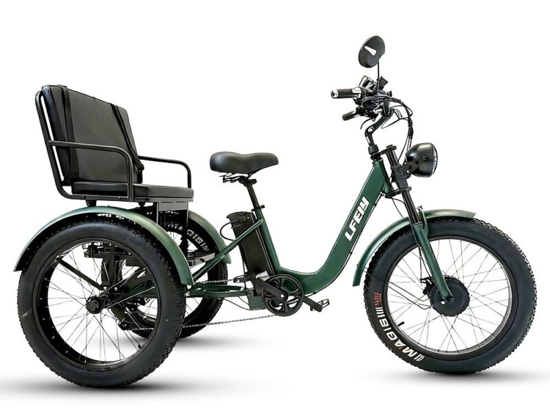 All Terrain Electric Tricycle Fat Tire 3 Wheel Bike for Adults Snow Beach Mountain Off Road Riding
