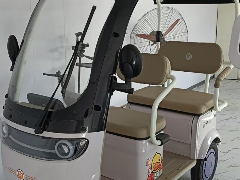 Aluminum Electric Tricycle with Rear Hub Motor and Shed 3-Wheel Design Power Supply From Lead-Acid Battery