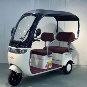 Aluminum Electric Tricycle with Rear Hub Motor and Shed 3-Wheel Design Power Supply From Lead-Acid Battery