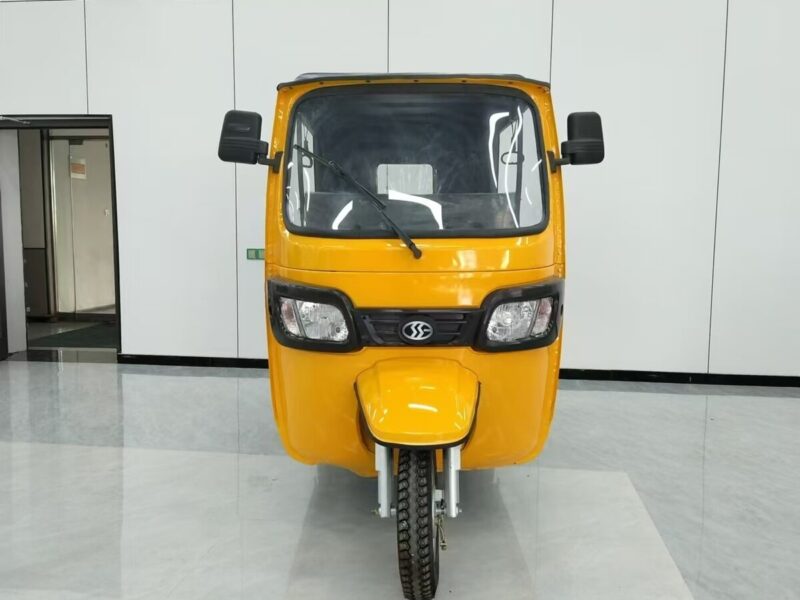 Asia and Africa Markets Passenger Vehicles 6-seater Passenger Tricycle Taxis Tuk-tuks Bajaj 3-wheel Electric Tricycles